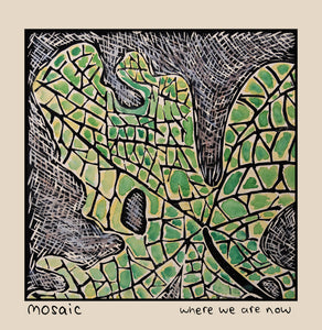 Mosaic 'Where We Are Now' VINYL